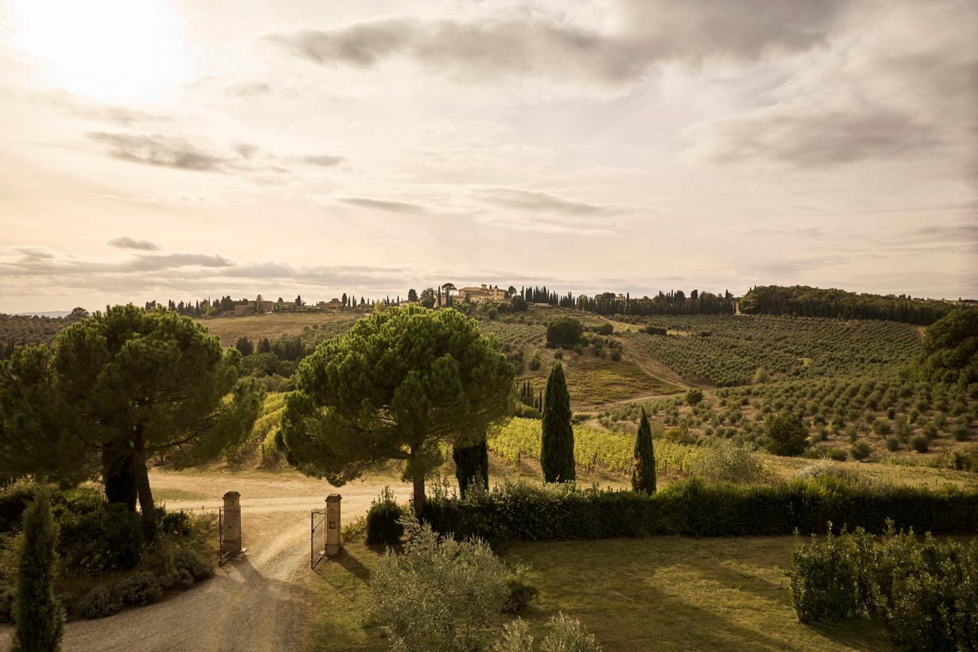 Castello Del Nero - Podere San Filippo Tavarnelle Val di Pesa Ngoại thất bức ảnh